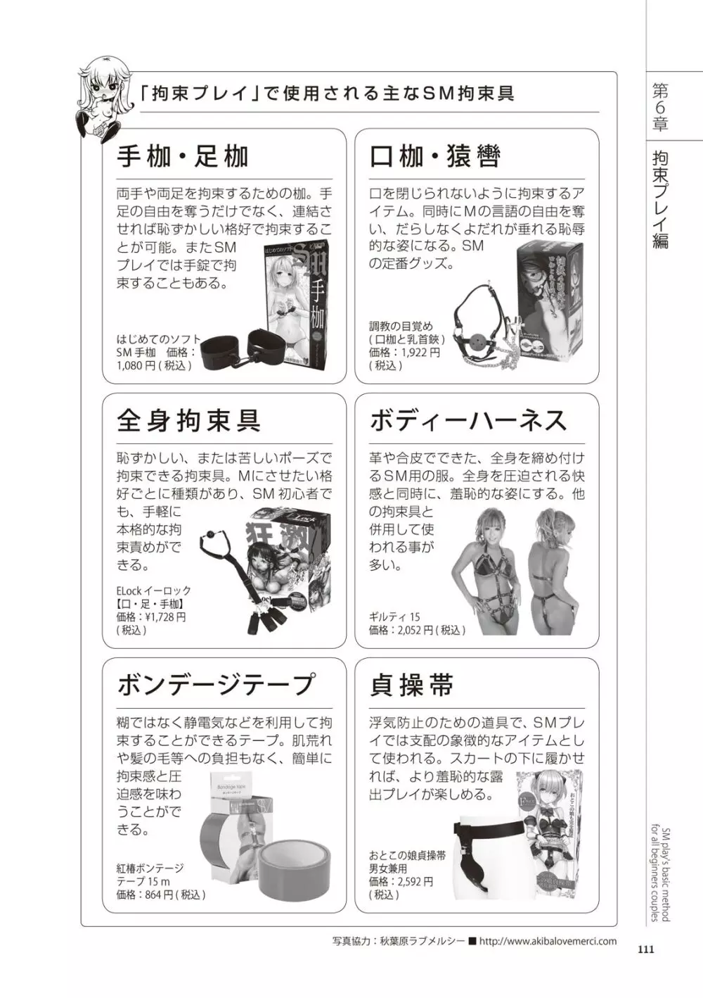 いますぐデキる 図説SMプレイマニュアル Page.111