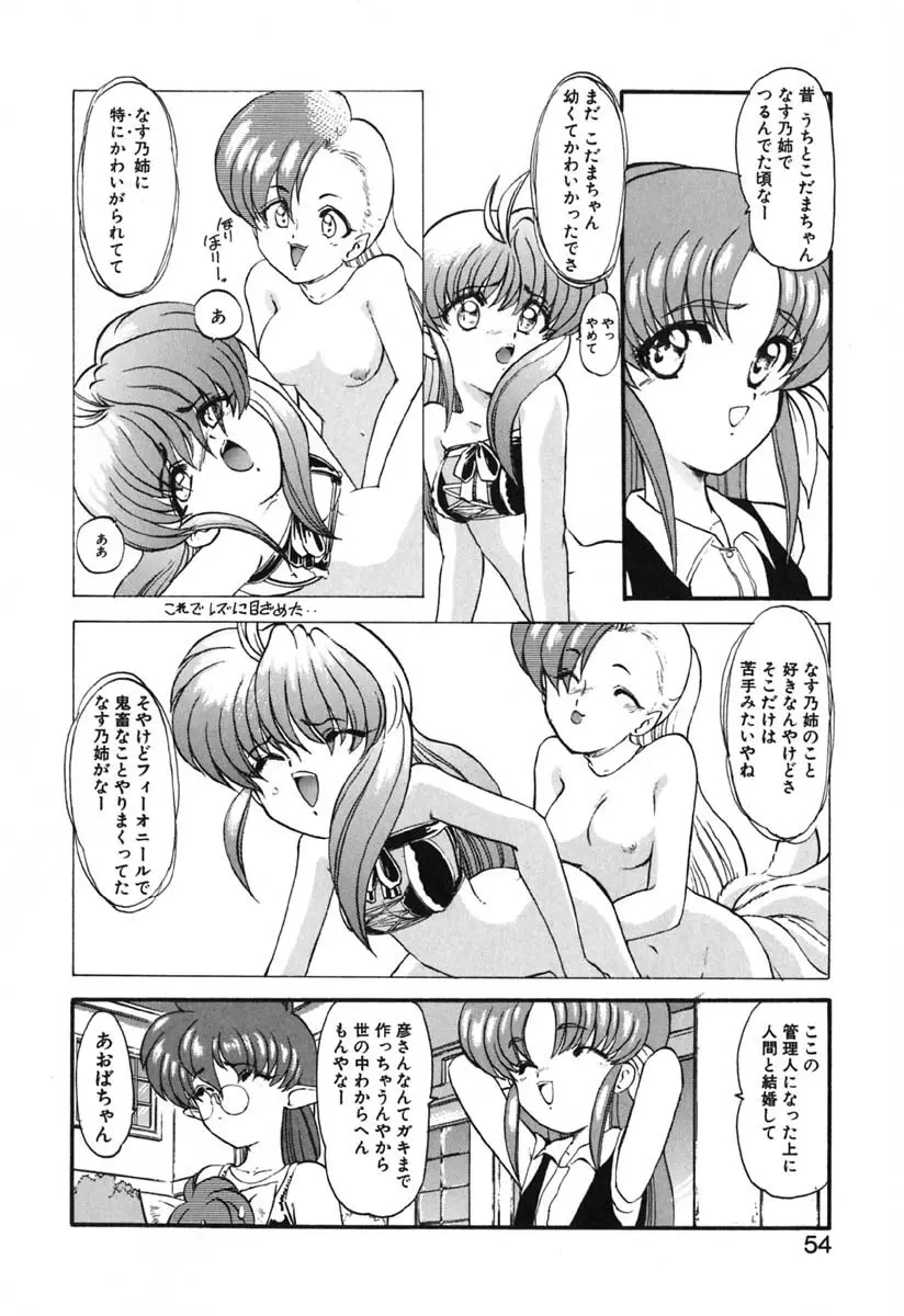 青海荘キ譚２ Page.55