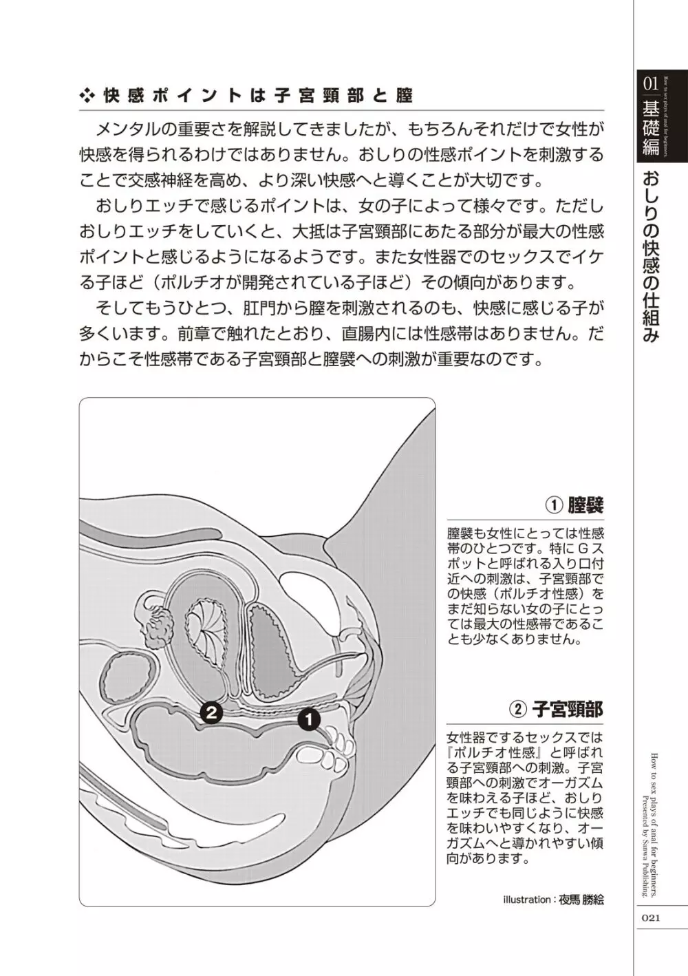 いますぐデキる 図説おしりエッチマニュアル Page.23