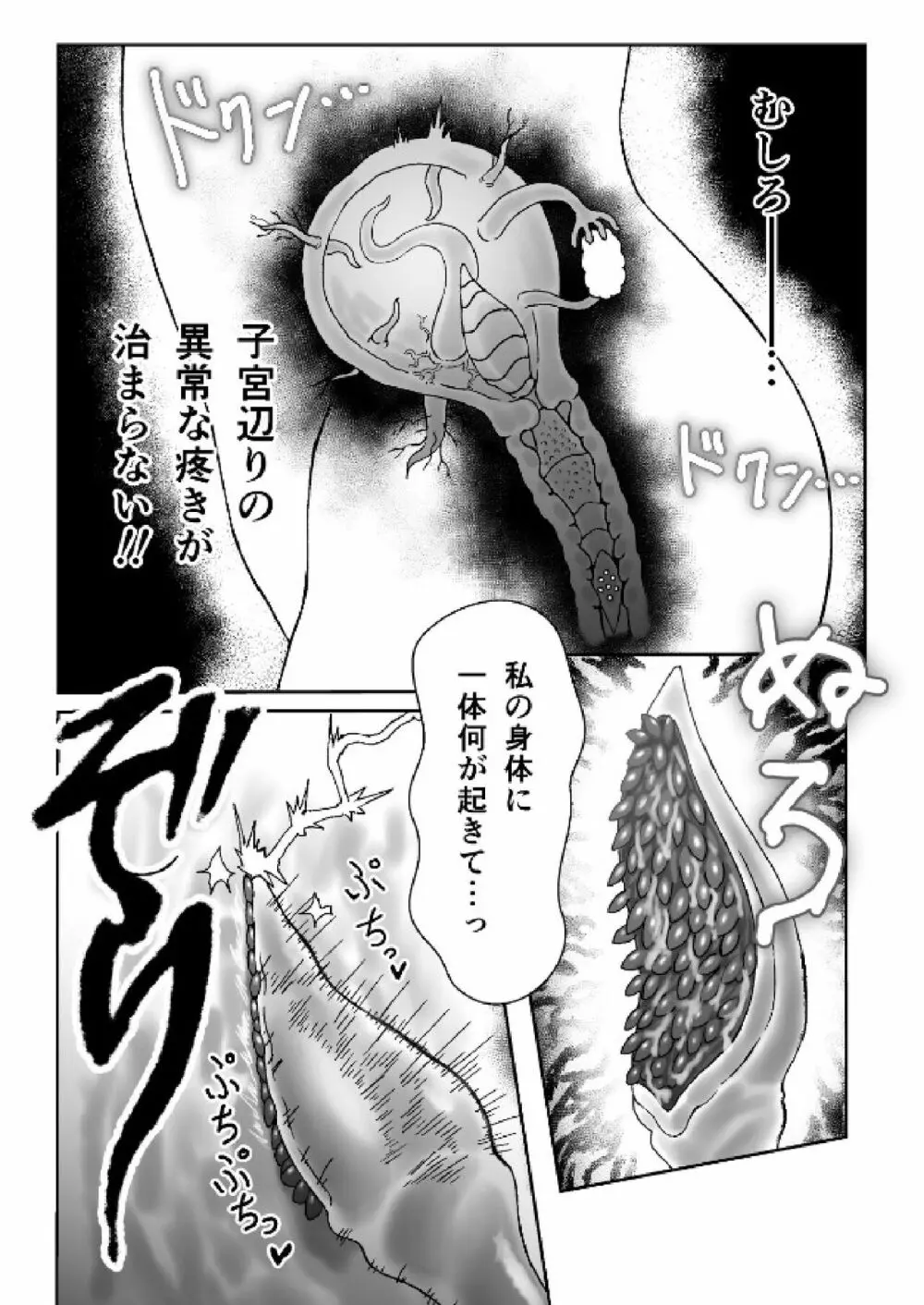 魔女が触手と蟲に寄生されて子宮と人生をめちゃくちゃにされる話 Page.13