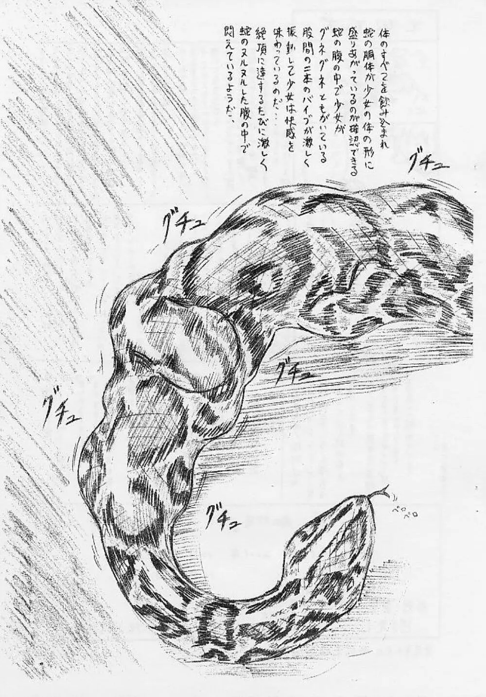 びびあん別冊.02びびあん別冊.02 でぃずぃ-肉の蛇袋- Page.13