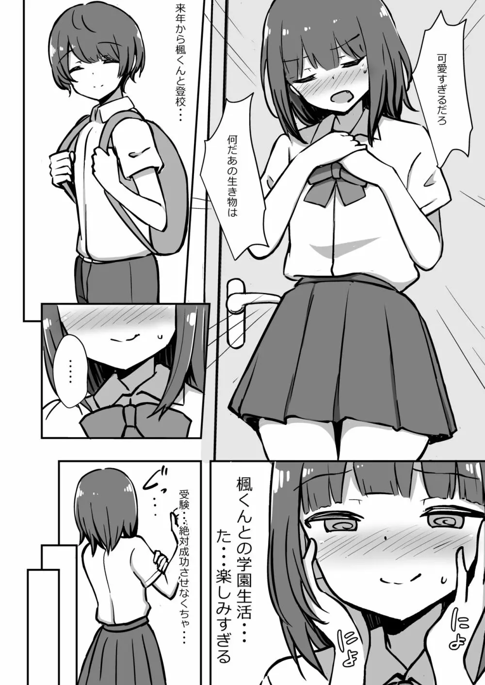 ボクとお姉さんのきもちいいお勉強（プレビュー版） Page.5