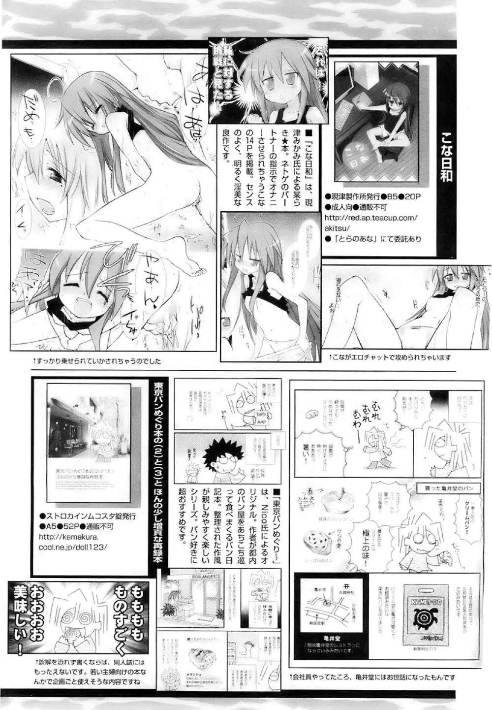 COMIC パピポ 2007年12月号 Page.241