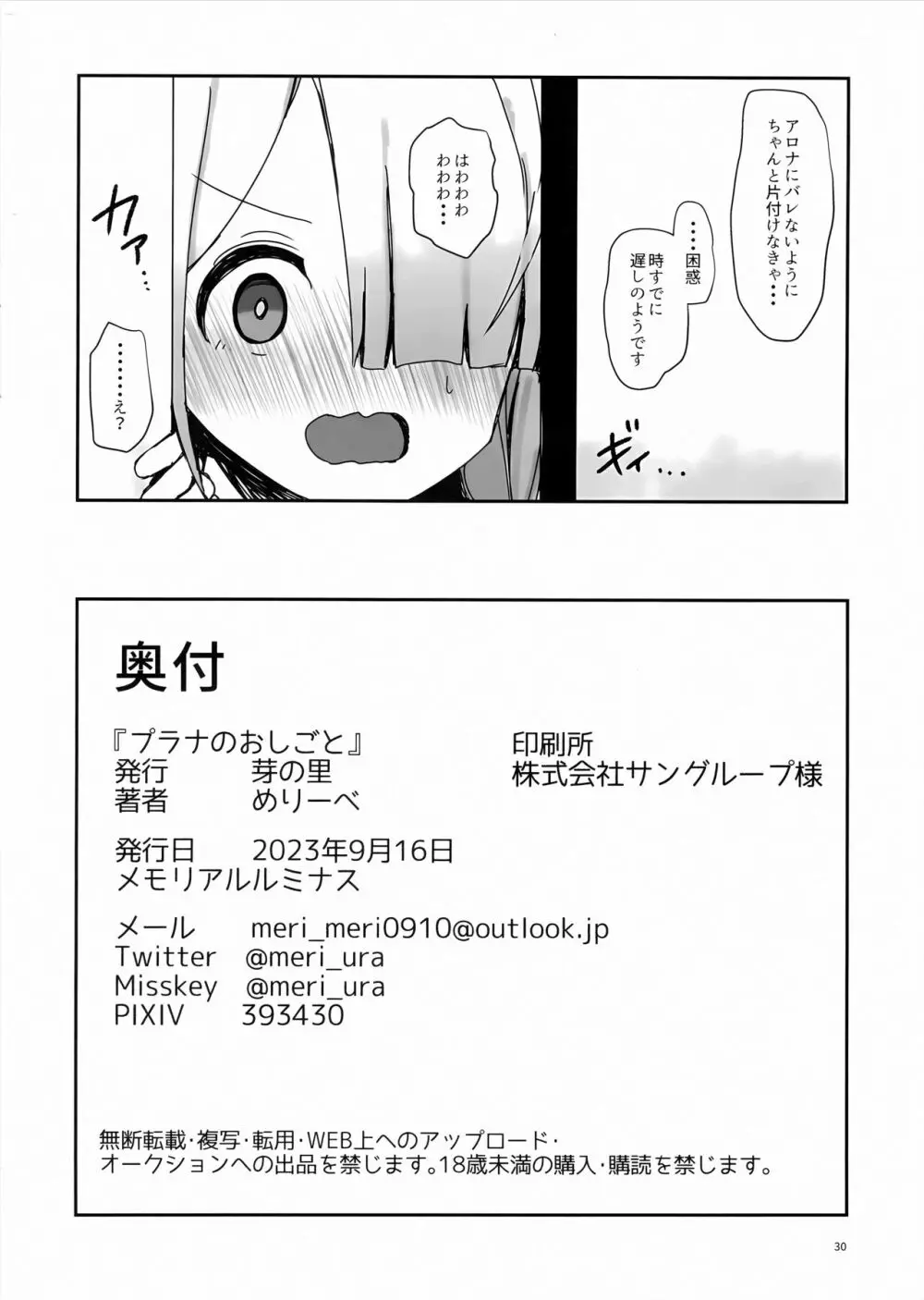 プラナのおしごと Page.29