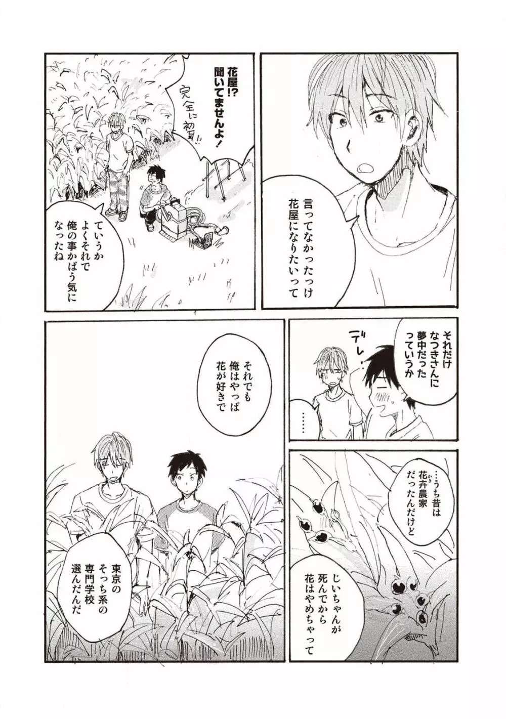 ハトムギ畑でつかまえて Page.165