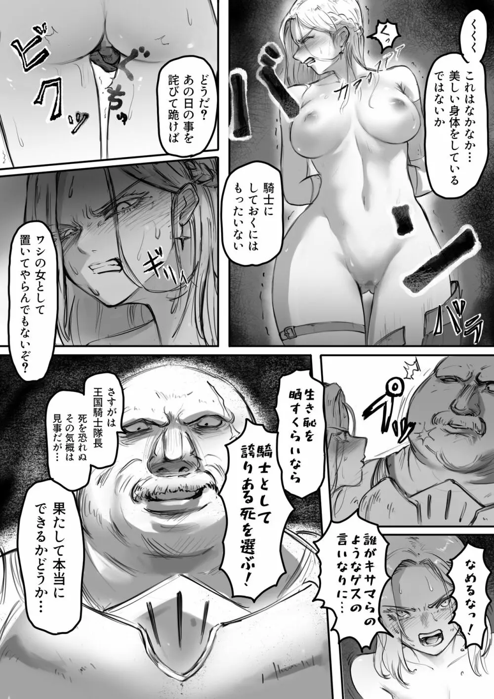 騎士の誇りはなくさない Page.5