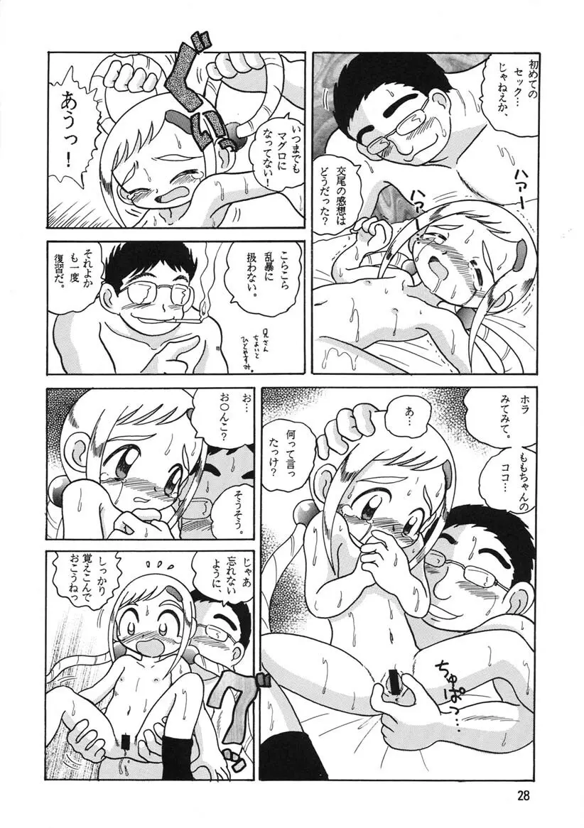 HI-PHS Ⅴ Page.27