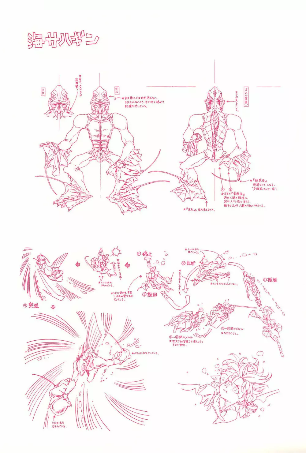 Magical Selection Page.41