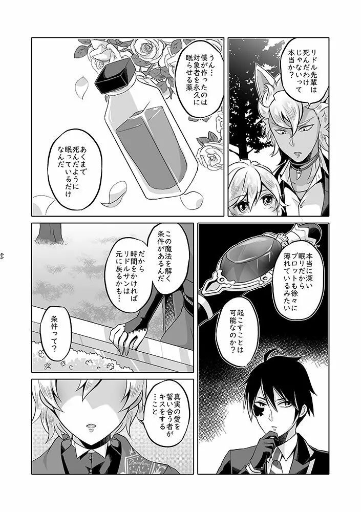 貴方は優雅な薔薇の女王 Page.43