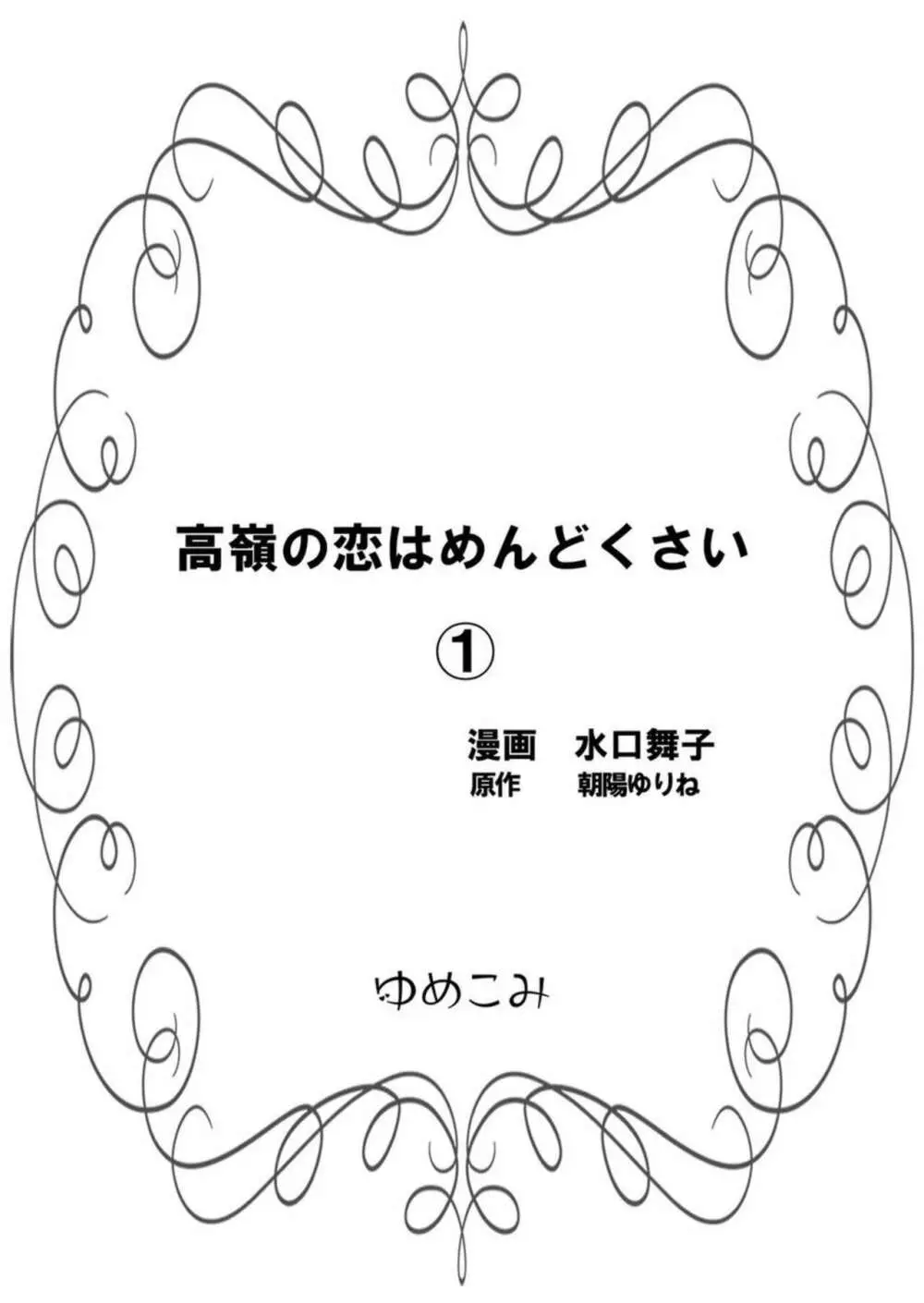 高嶺の恋はめんどくさい 1 Page.2