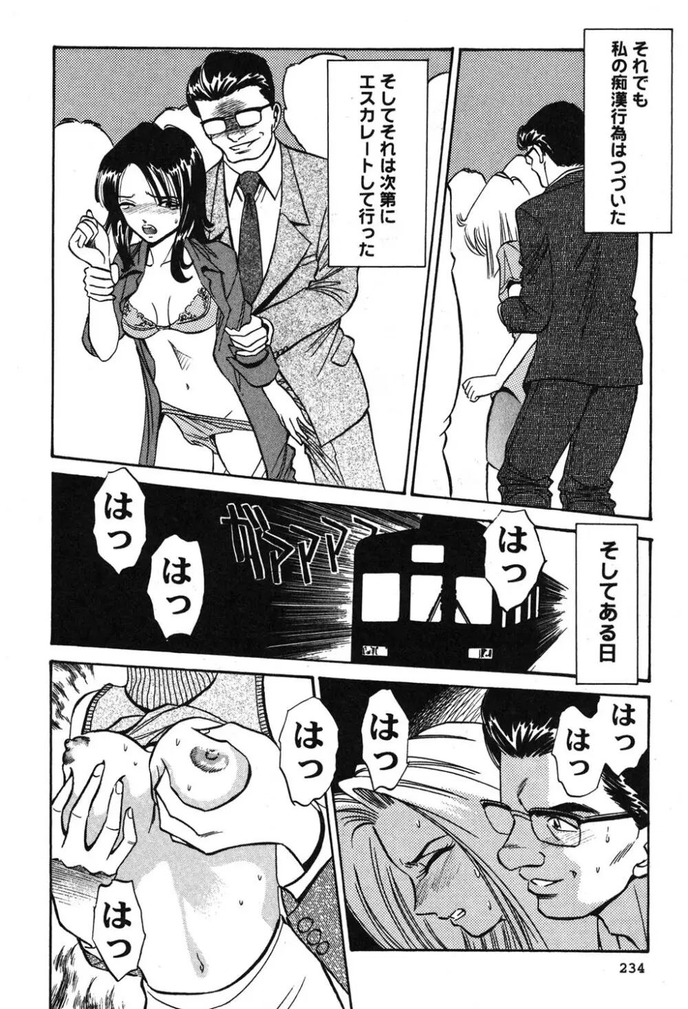 メルティ・ムーン 虚月編 Page.235