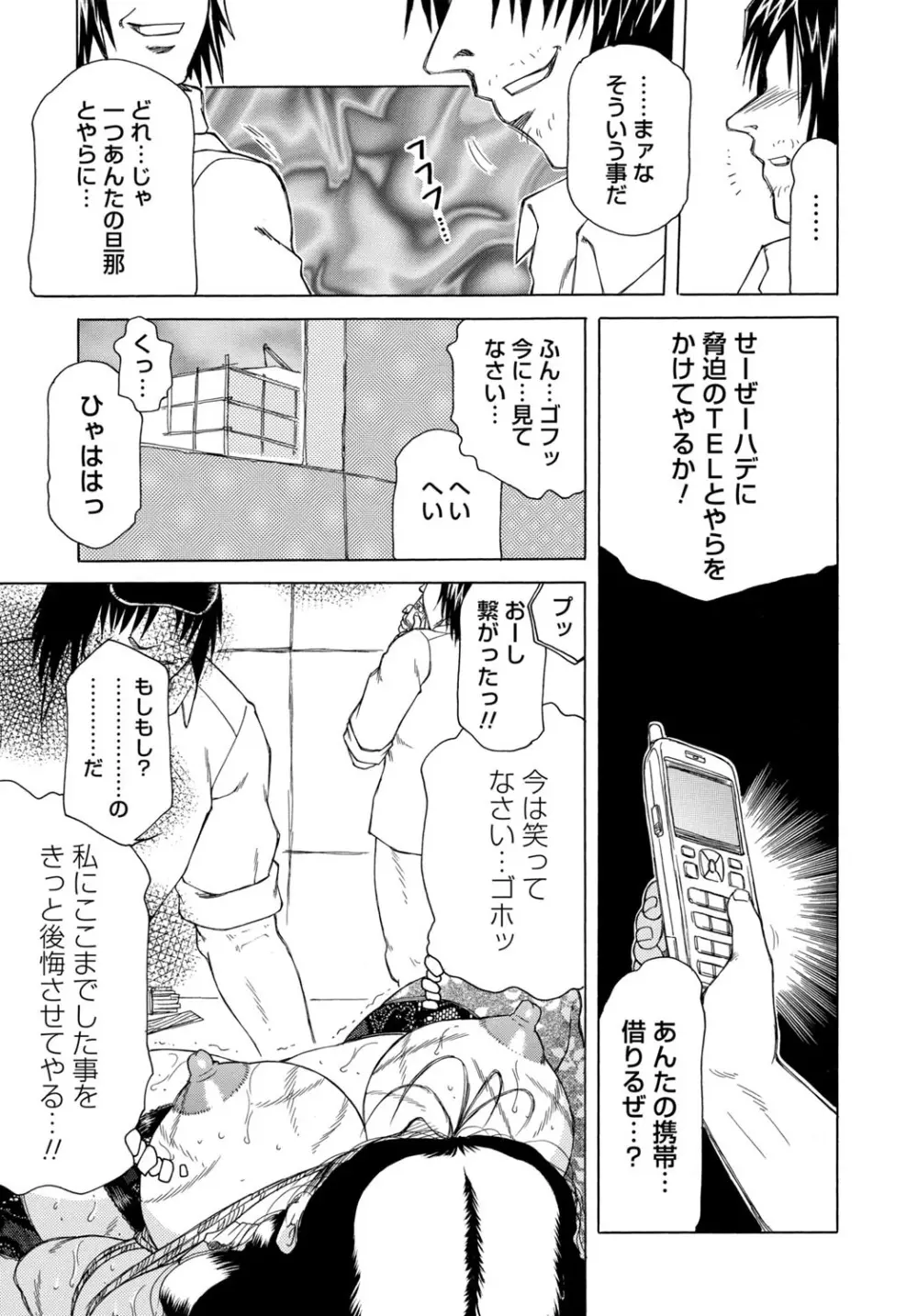 淫宴玩具姫嬲り Page.146