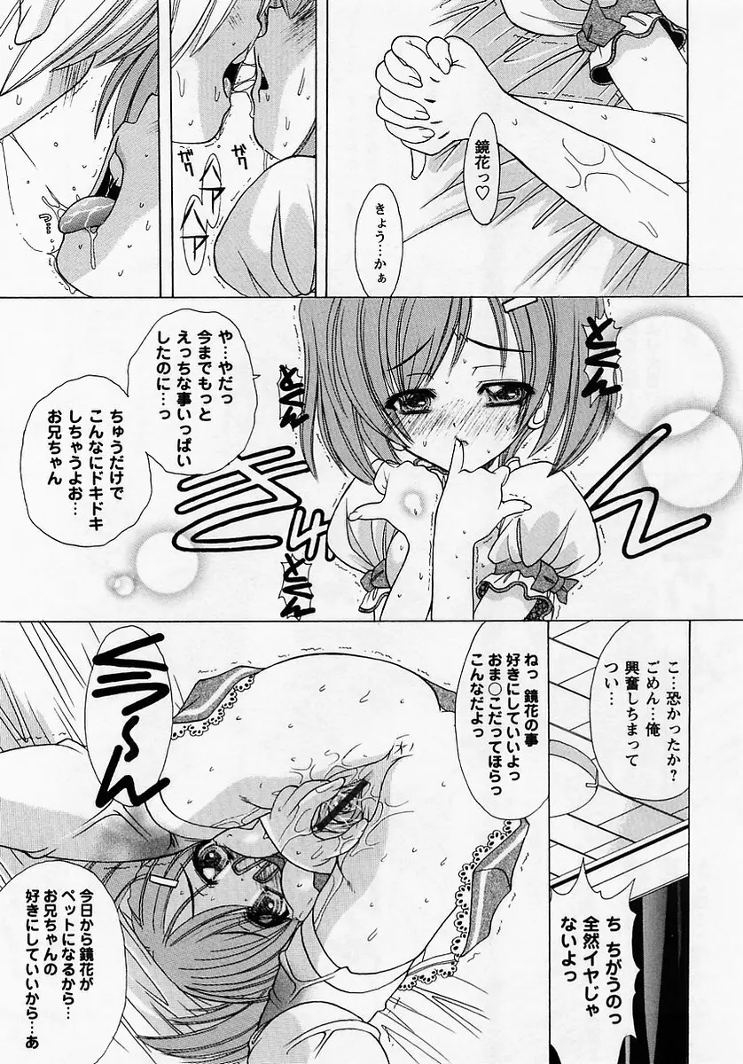 コミック・マショウ 2005年7月号 Page.17