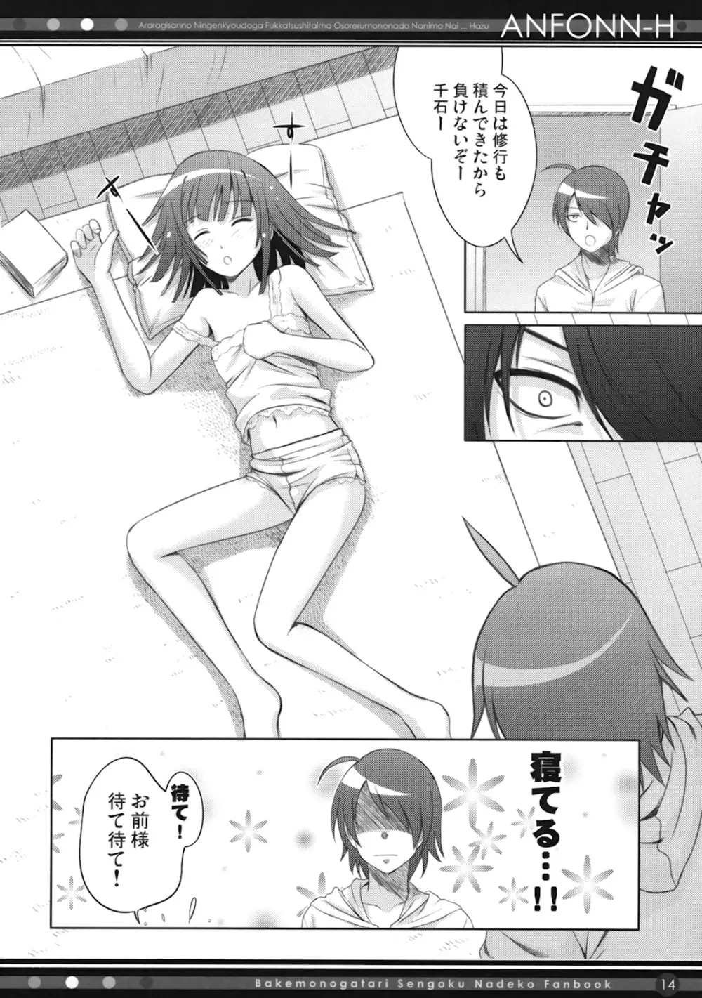 ANFONN-H Page.13