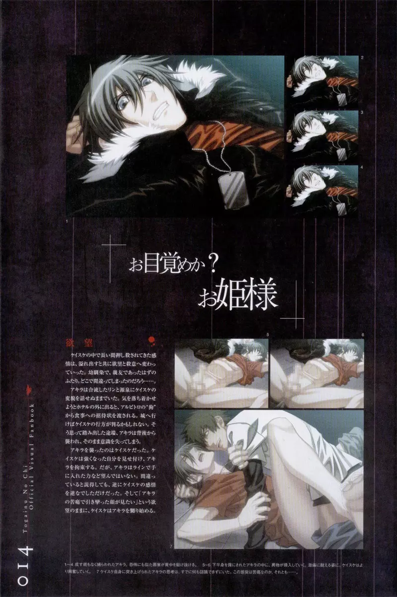 Togainu no chi - Official Visual Fan Book Page.15