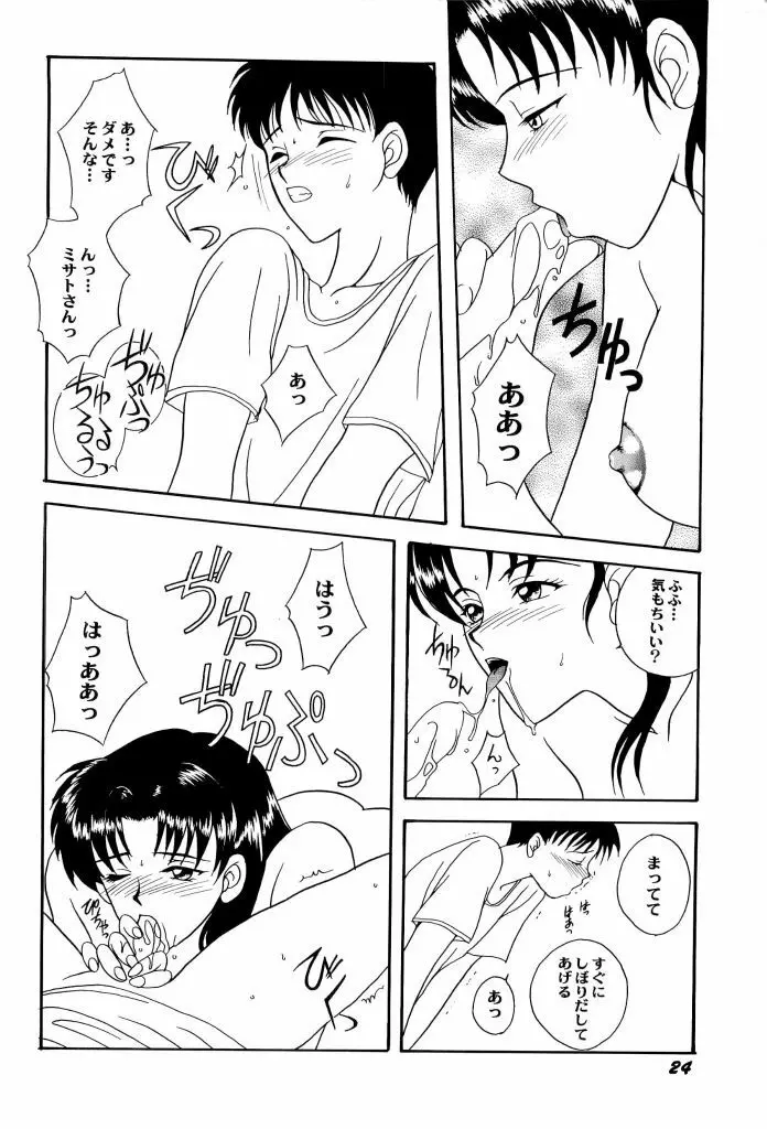 アニパロ美姫4 Page.26