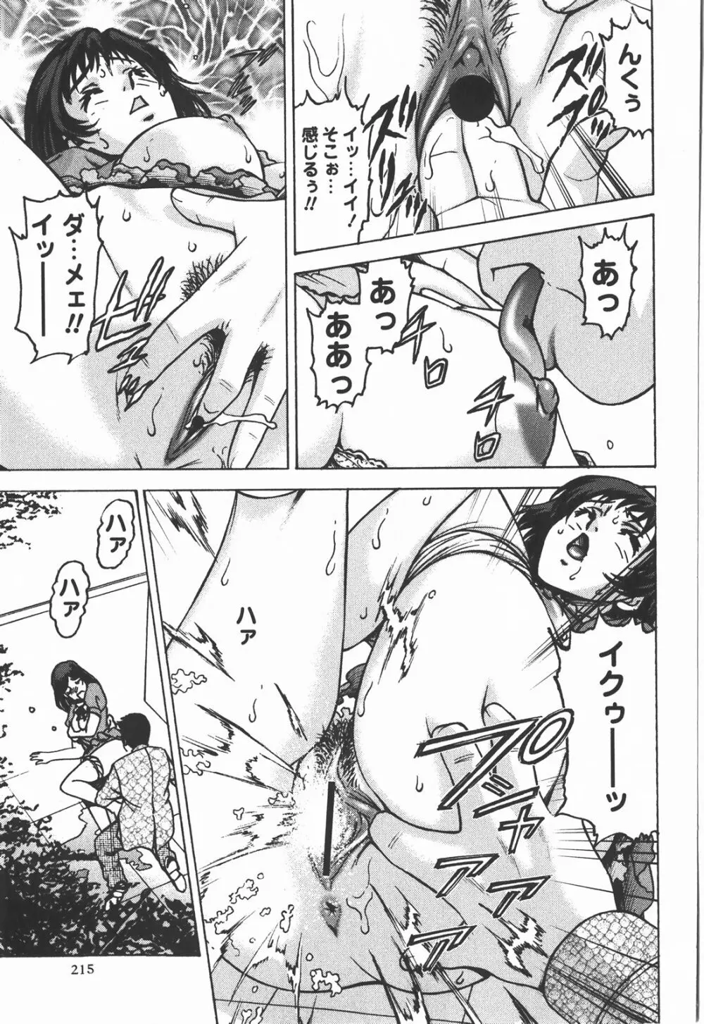 コミック・マショウ 2008年1月号 Page.216