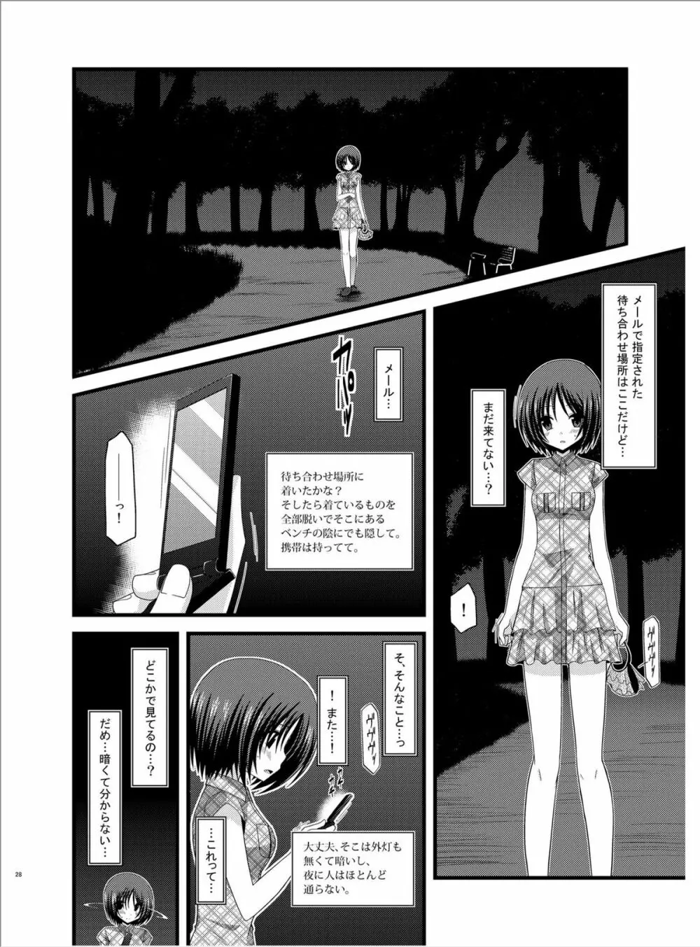 露出少女遊戯陸 Page.27