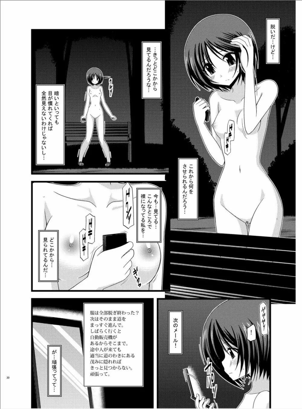 露出少女遊戯陸 Page.29