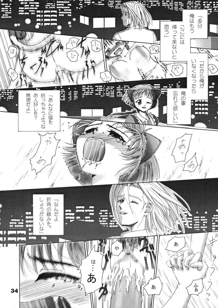 世界で一番ねこメイド Page.33