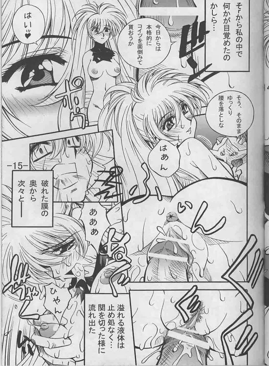 乱具 Vol.I Page.13