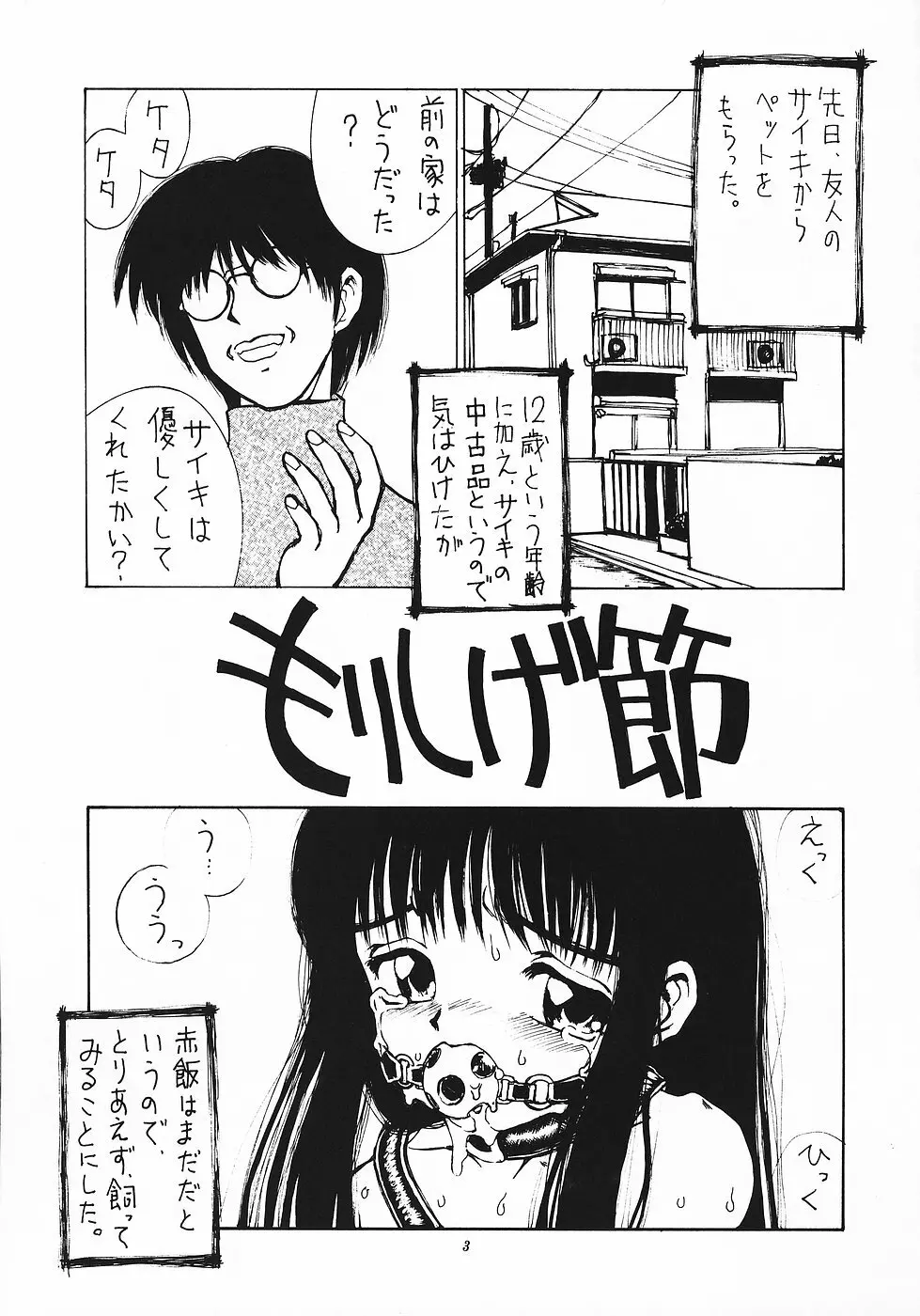 色彩艶妓3 しろいとり Page.2