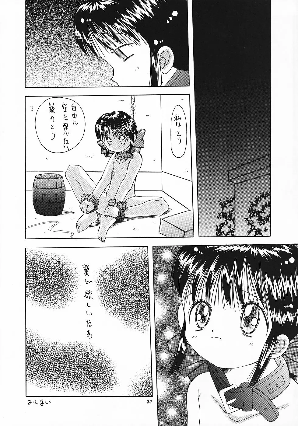 色彩艶妓3 しろいとり Page.28