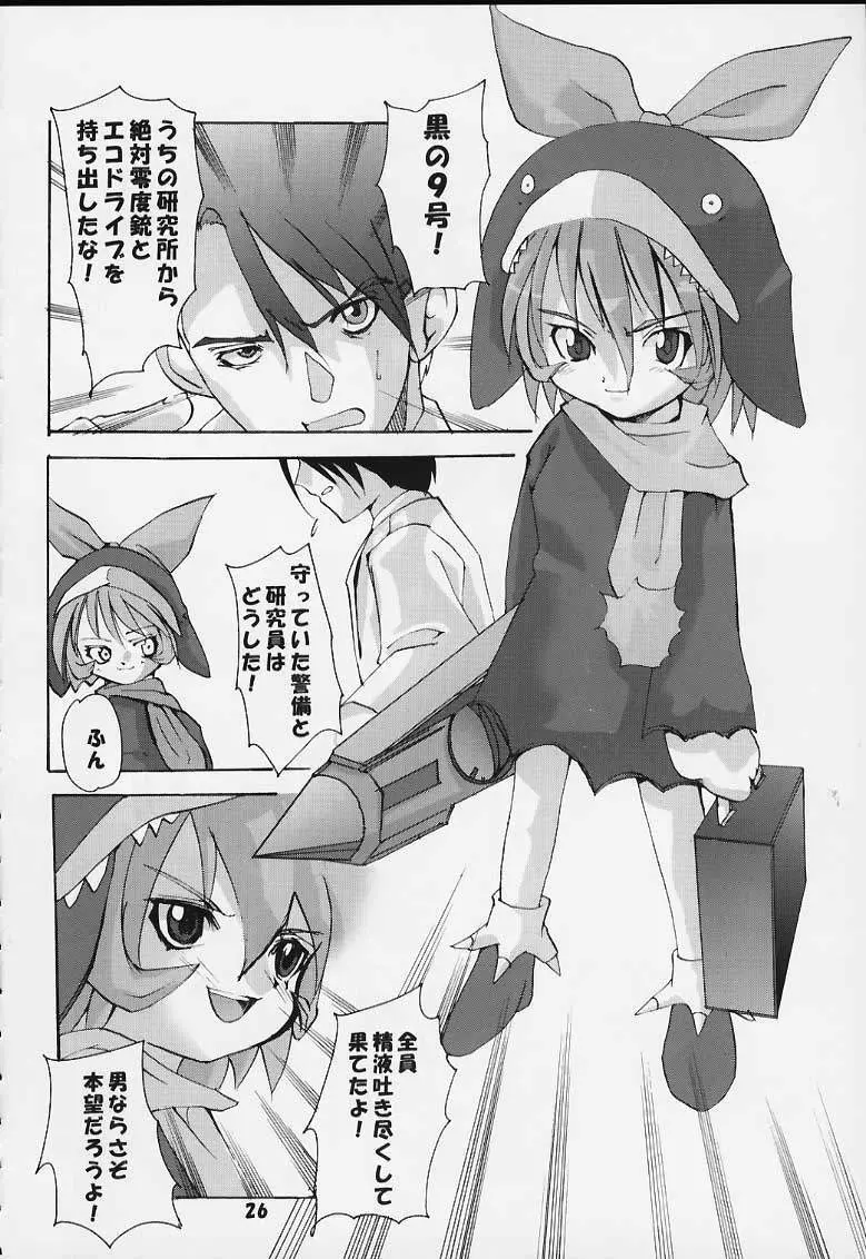 エコ・ミレニアム Page.25