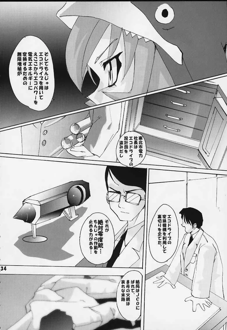 エコ・ミレニアム Page.33