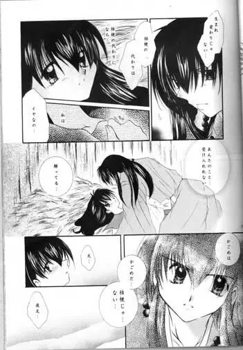 最後の桜の咲く頃 Page.15