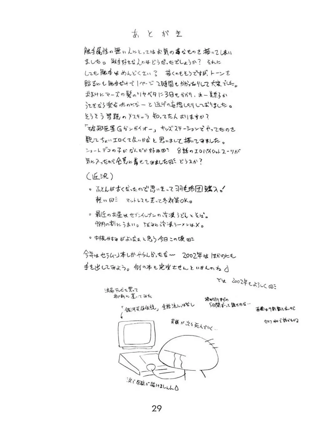 RED HOT CHILI PEPPER Page.28