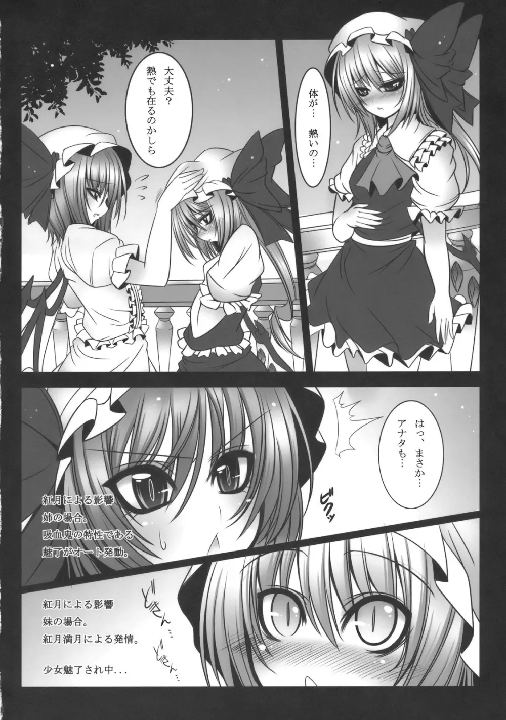 紅月姉妹 Page.6