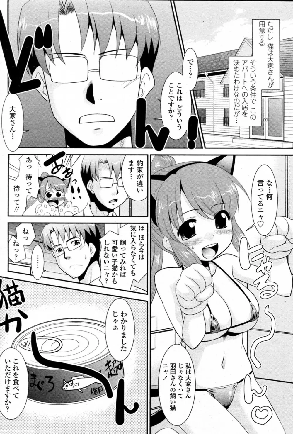 ビックハウスペット Page.4