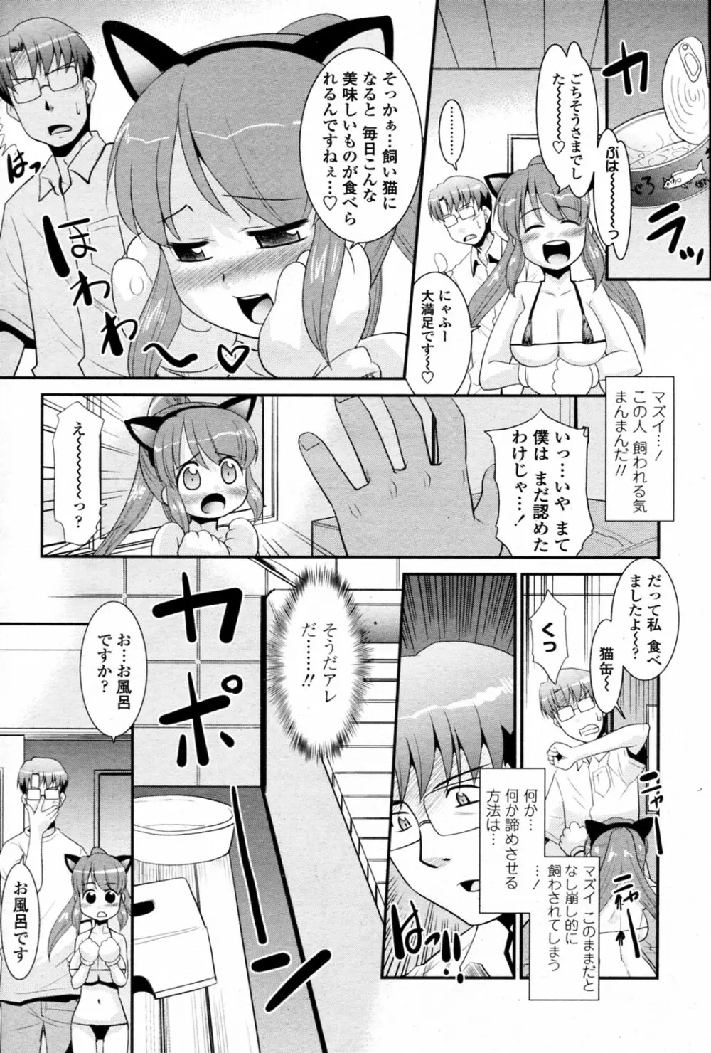 ビックハウスペット Page.6