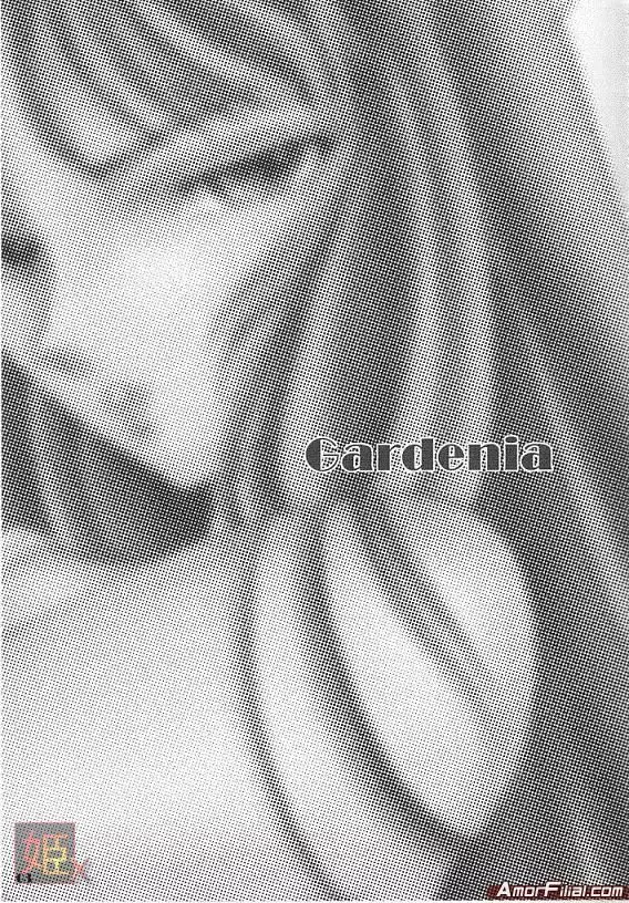 Gardenia Page.2