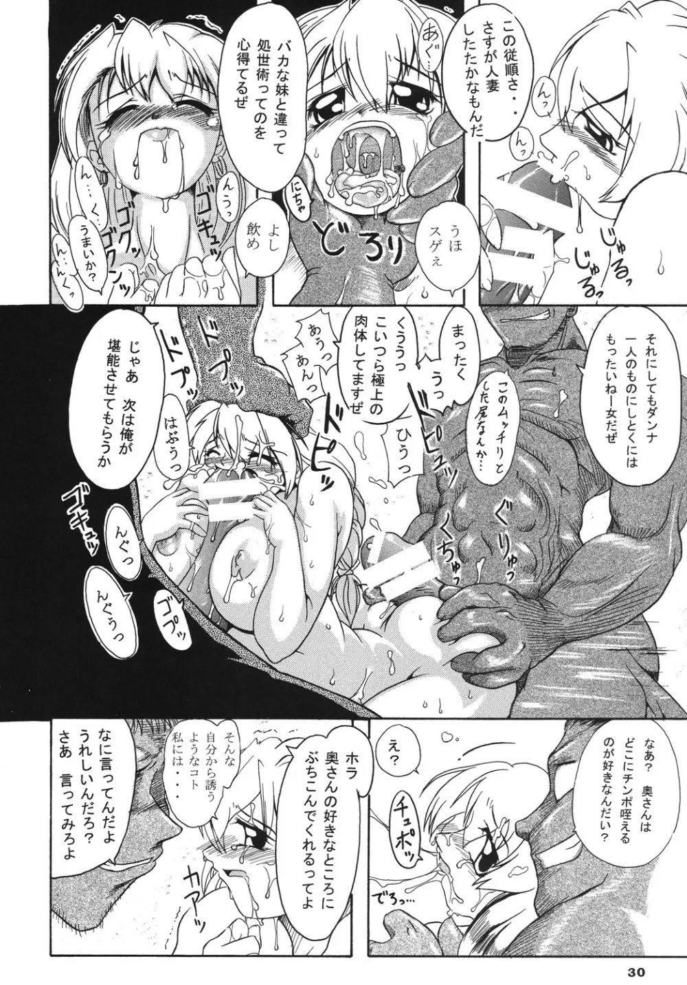 聖戦士の末路 Page.29