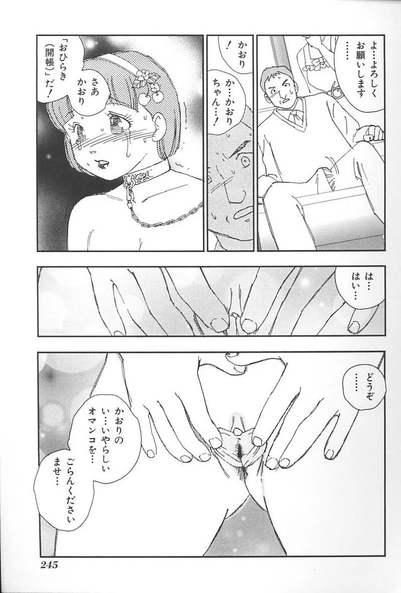 妹恋し Vol.4 Page.248