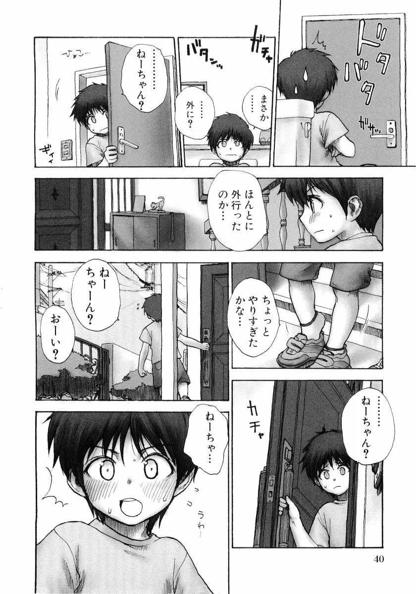 萌え姫 Vol.03 Page.41