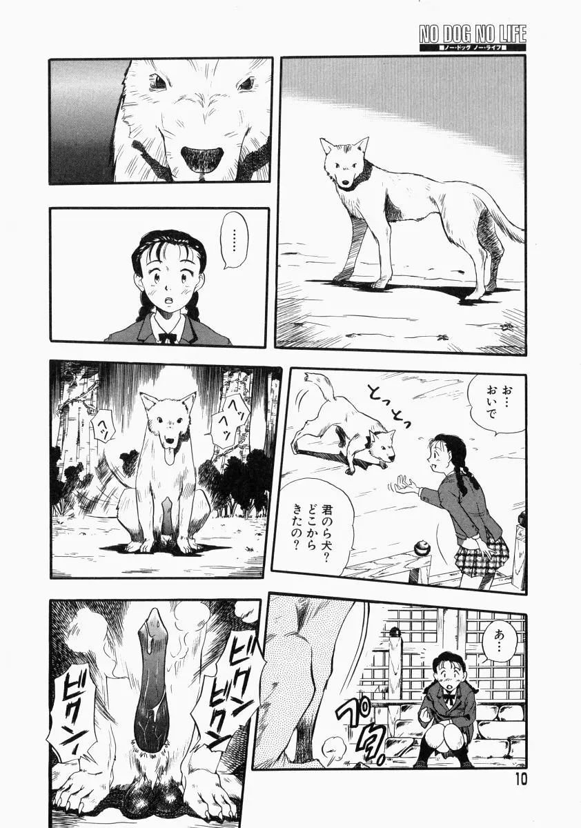 NO DOG NO LIFE Page.12