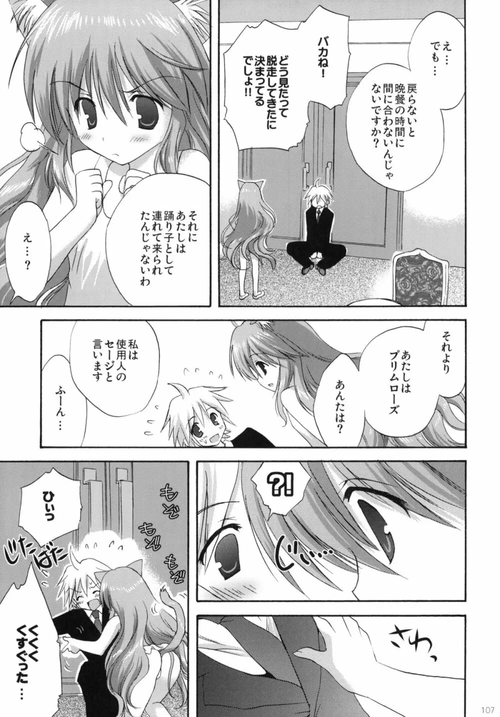 2009こりすやオリジナル総集編 #02 Page.106