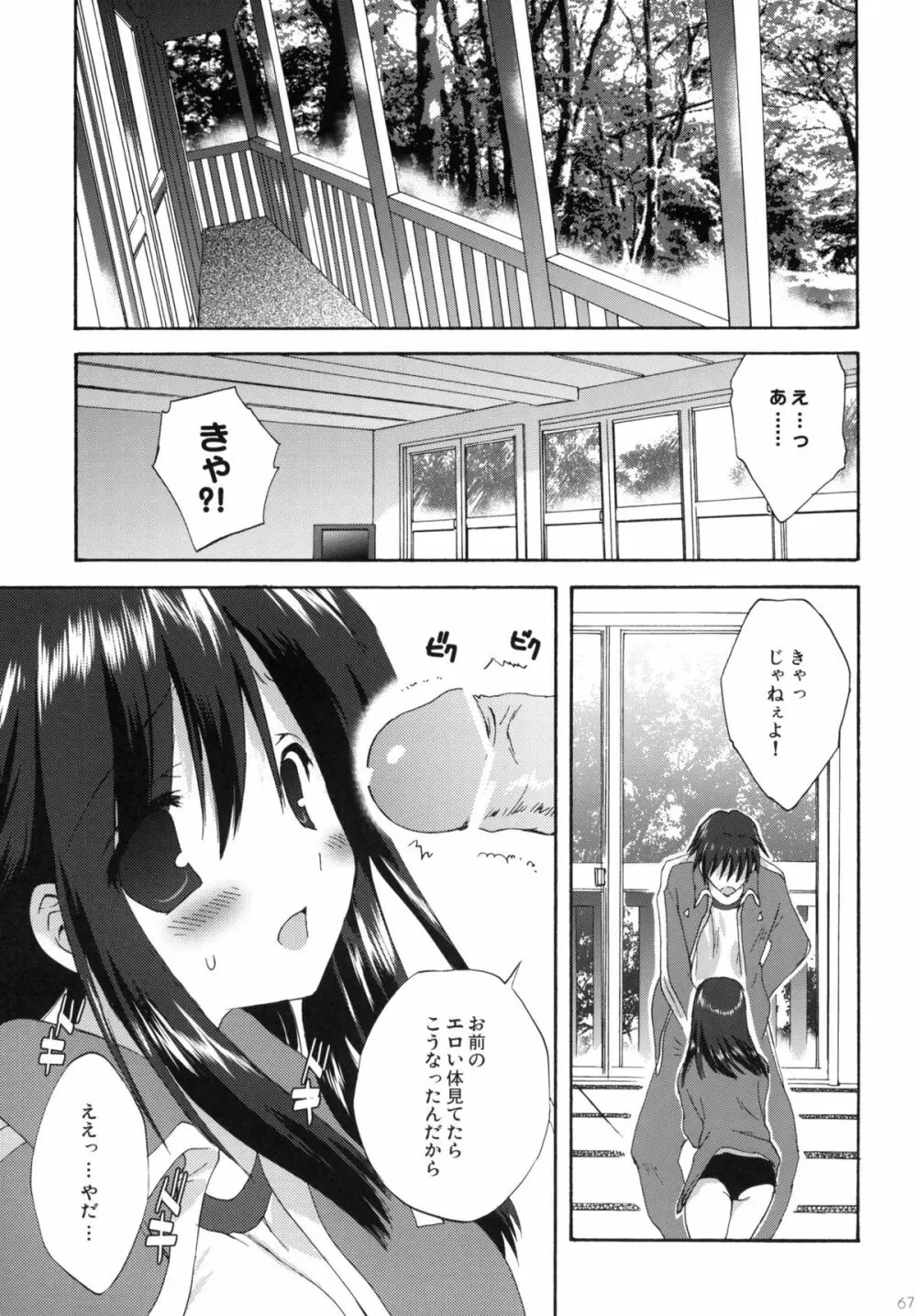 2009こりすやオリジナル総集編 #02 Page.66