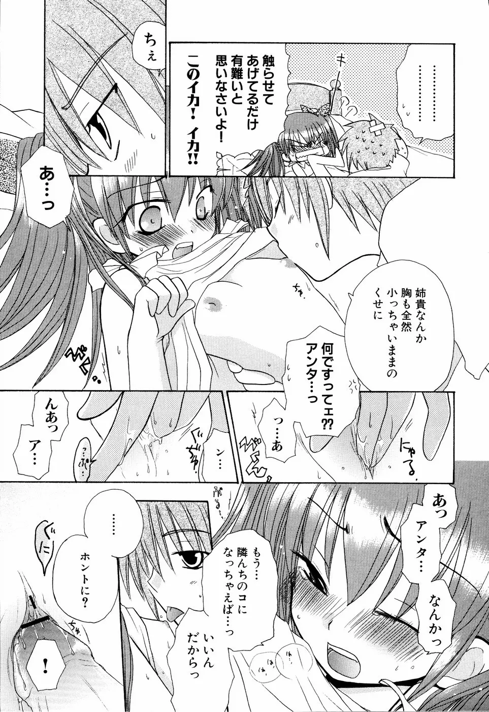 姉、ちゃんとしようよっ! 2 Page.151