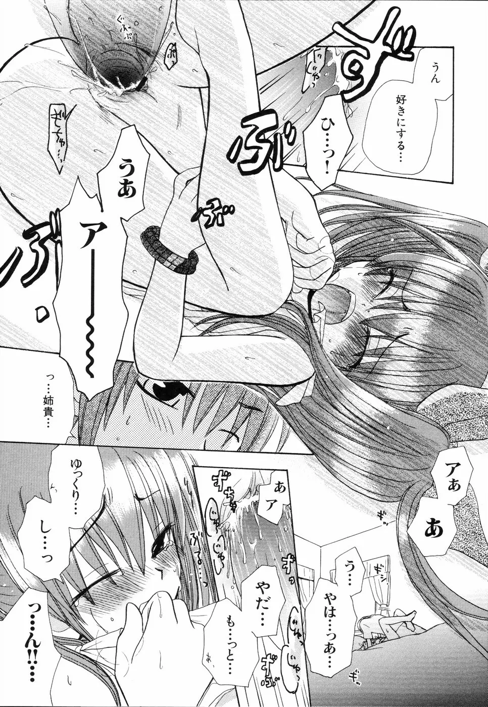 姉、ちゃんとしようよっ! 2 Page.153