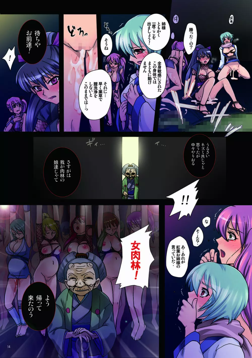 女肉忍法帳～第一夜 肉林の娘～ Page.14