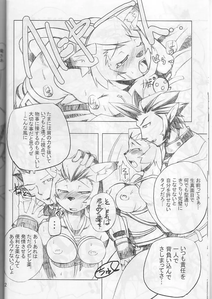 ネコネコぱんち Page.11