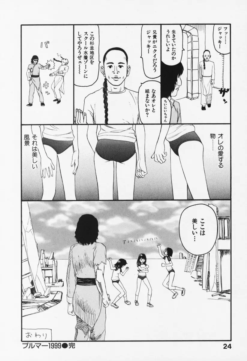 ブルマー200X 増補改訂完全版 Page.29