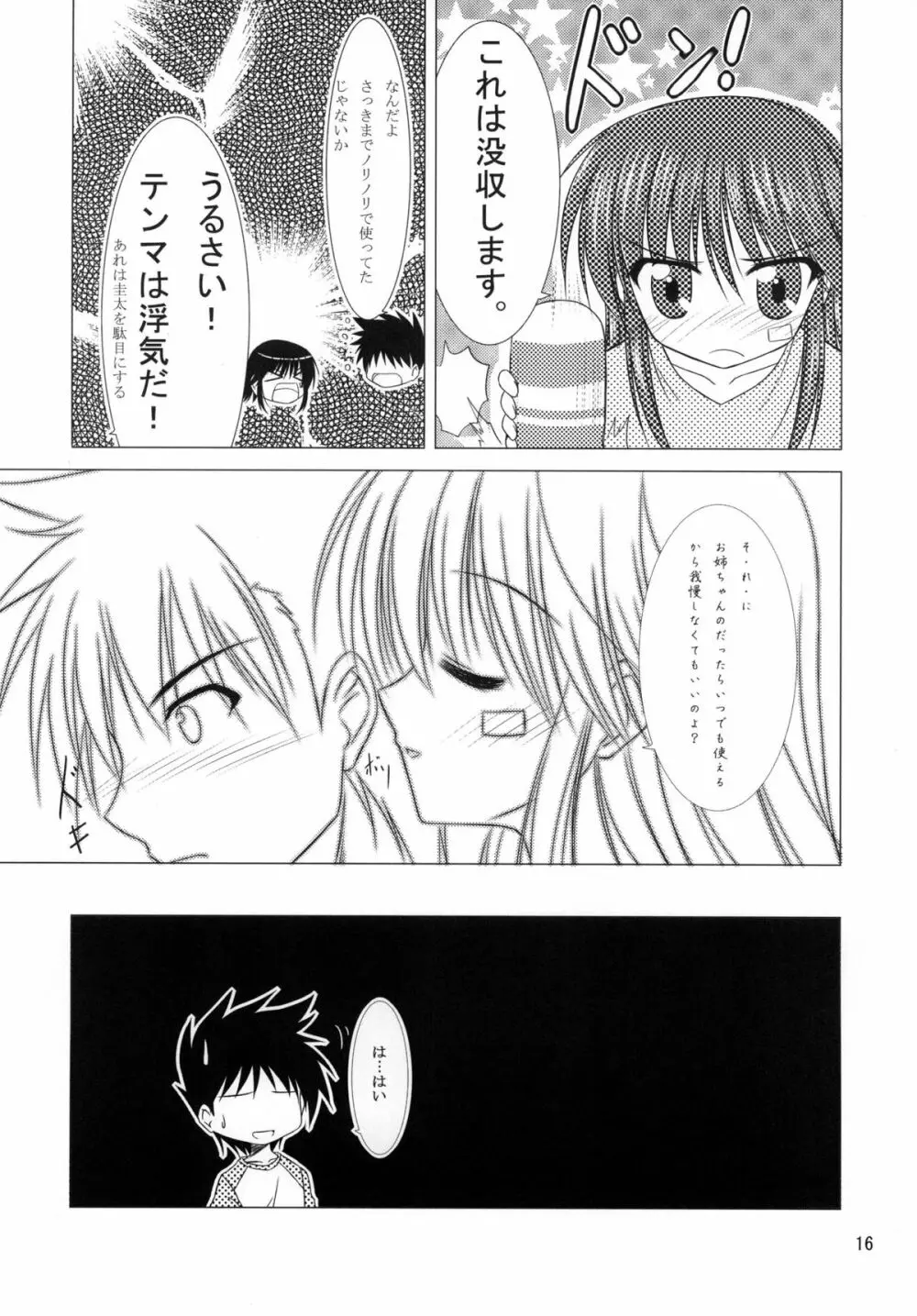 TENMA Page.15