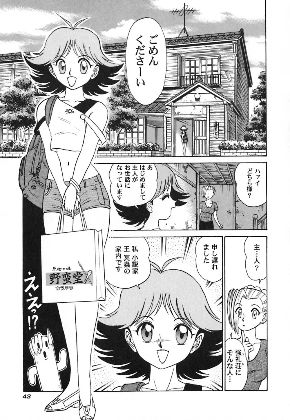 桃色物件（ピンクハウス） 第3巻 Page.48