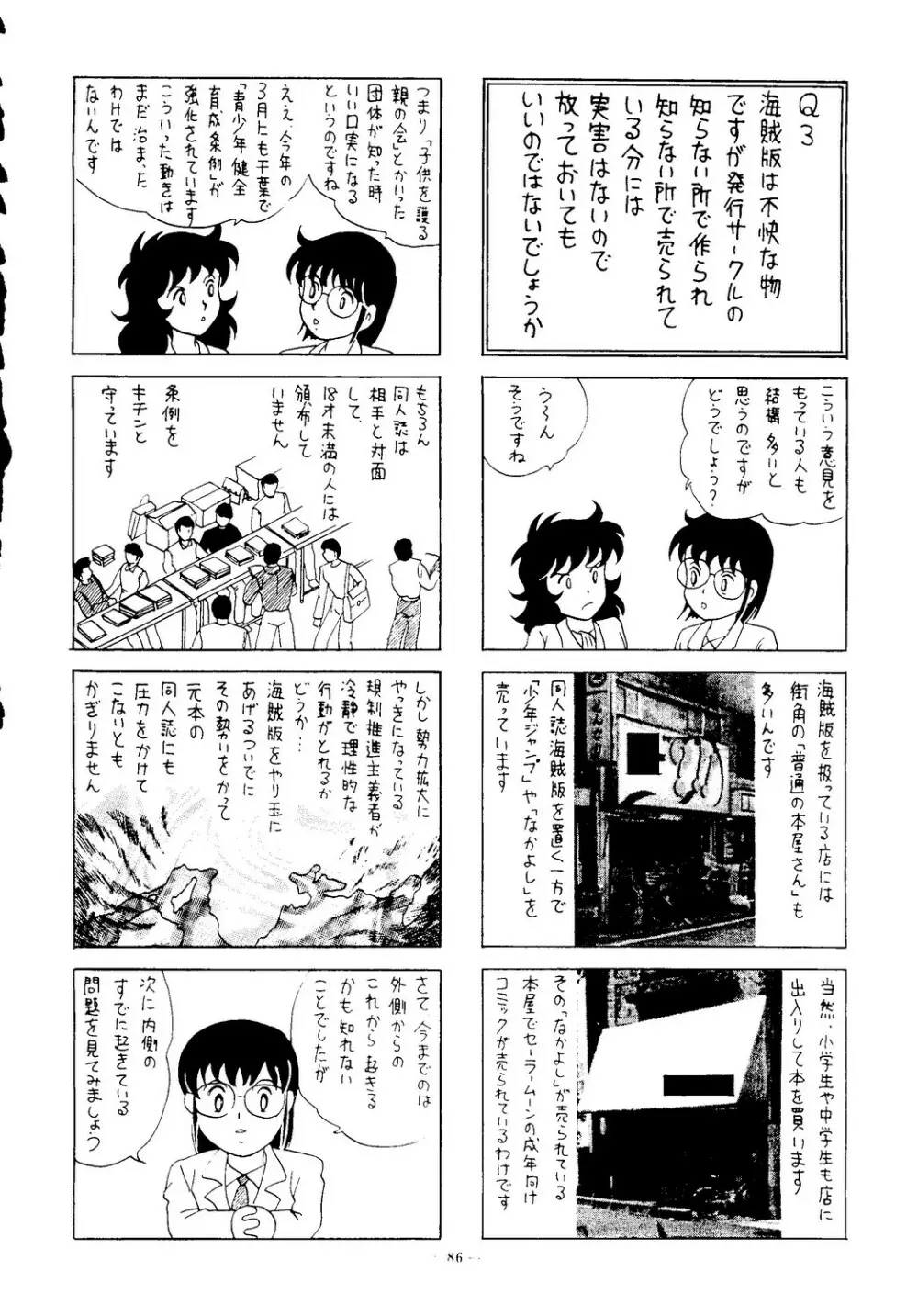 海賊版同人誌打倒版!! 被害報告 Page.87