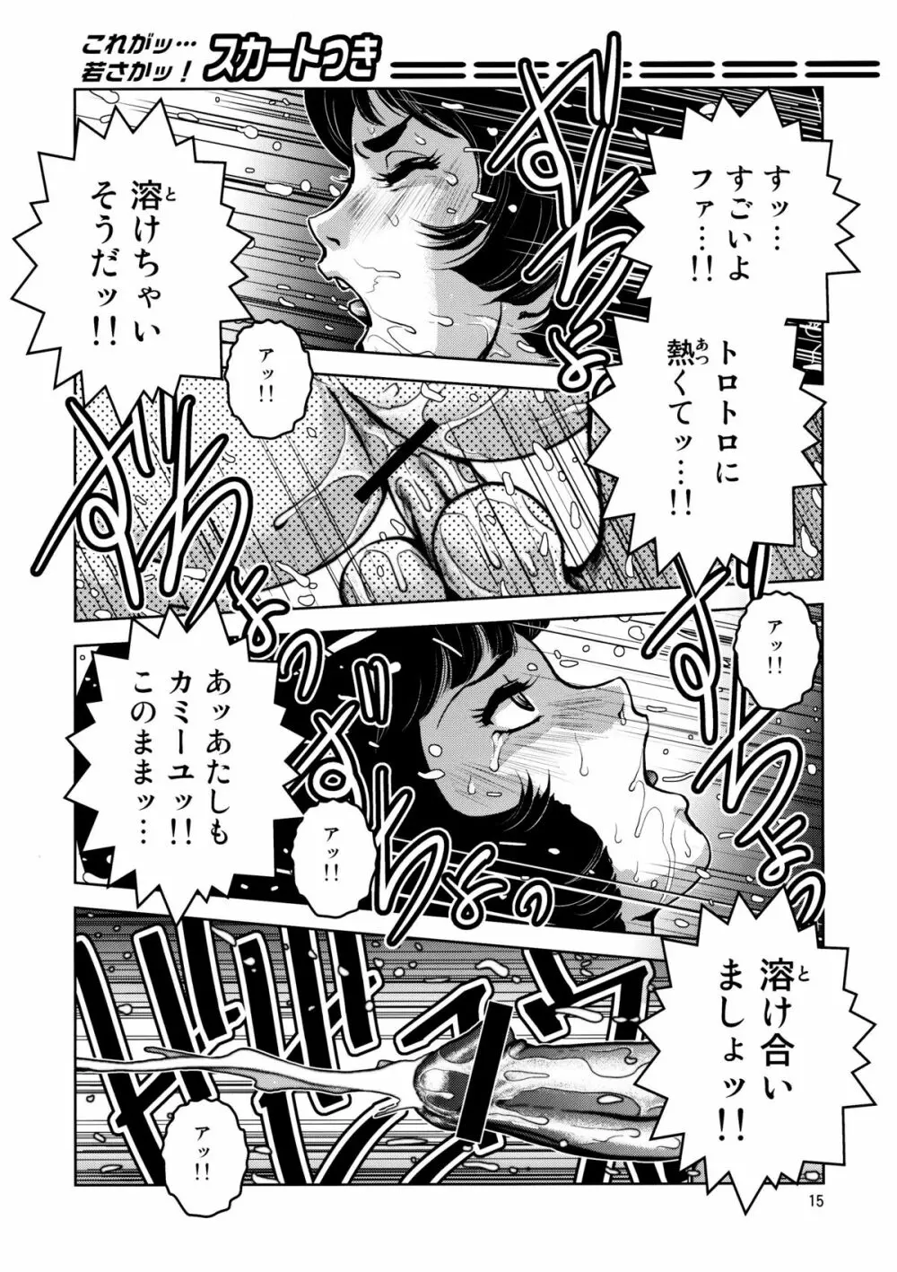 高熱源体挿入 Page.14